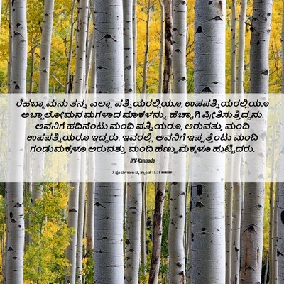 Picture 06 - 2 ಪೂರ್ವಕಾಲವೃತ್ತಾಂತ 11:21 KANIRV - ರೆಹಬ್ಬಾಮನು ತನ್ನ - Bible Verse Picture
