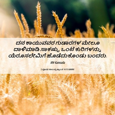 Picture 06 - 2 ಪೂರ್ವಕಾಲವೃತ್ತಾಂತ 14:15 KANIRV - ದನ ಕಾಯುವವರ - Bible Verse Picture