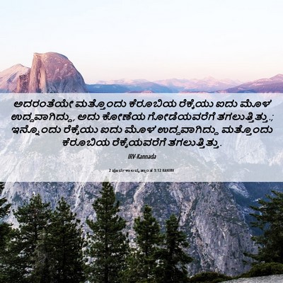 Picture 06 - 2 ಪೂರ್ವಕಾಲವೃತ್ತಾಂತ 3:12 KANIRV - ಅದರಂತೆಯೇ ಮತ್ತೊಂದು - Bible Verse Picture