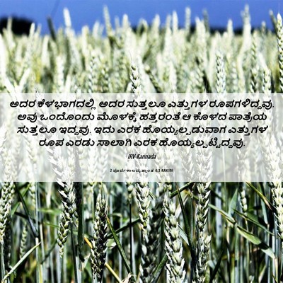 Picture 06 - 2 ಪೂರ್ವಕಾಲವೃತ್ತಾಂತ 4:3 KANIRV - ಅದರ ಕೆಳಭಾಗದಲ್ಲಿ - Bible Verse Picture