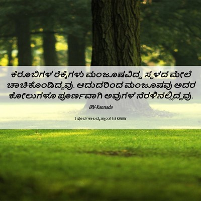Picture 06 - 2 ಪೂರ್ವಕಾಲವೃತ್ತಾಂತ 5:8 KANIRV - ಕೆರೂಬಿಗಳ - Bible Verse Picture