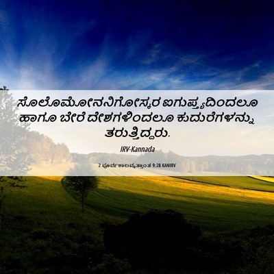 Picture 06 - 2 ಪೂರ್ವಕಾಲವೃತ್ತಾಂತ 9:28 KANIRV - ಸೊಲೊಮೋನನಿಗೋಸ್ಕರ - Bible Verse Picture
