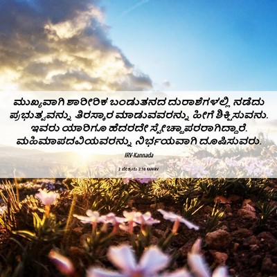 Picture 06 - 2 ಪೇತ್ರನು 2:10 KANIRV - ಮುಖ್ಯವಾಗಿ ಶಾರೀರಿಕ - Bible Verse Picture
