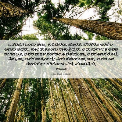 Picture 06 - 2 ಸಮುವೇಲನು 12:3 KANIRV - ಬಡವನಿಗೆ ಒಂದು - Bible Verse Picture