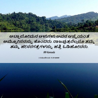 Picture 06 - 2 ಸಮುವೇಲನು 13:29 KANIRV - ಅಬ್ಷಾಲೋಮನ ಆಳುಗಳು - Bible Verse Picture
