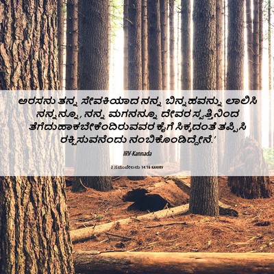 Picture 06 - 2 ಸಮುವೇಲನು 14:16 KANIRV - ಅರಸನು ತನ್ನ - Bible Verse Picture