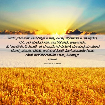 Picture 06 - 2 ಸಮುವೇಲನು 16:11 KANIRV - ಇದಲ್ಲದೆ ಅವನು - Bible Verse Picture