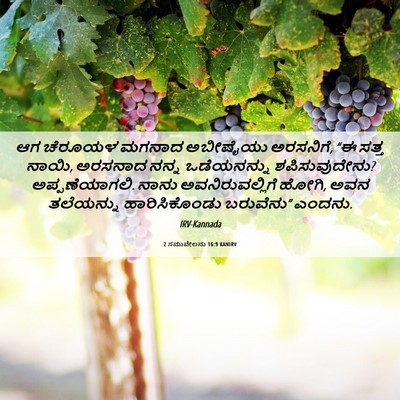 Picture 06 - 2 ಸಮುವೇಲನು 16:9 KANIRV - ಆಗ ಚೆರೂಯಳ ಮಗನಾದ - Bible Verse Picture