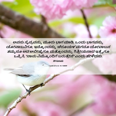 Picture 06 - 2 ಸಮುವೇಲನು 18:2 KANIRV - ಅವನು ಸೈನ್ಯವನ್ನು - Bible Verse Picture