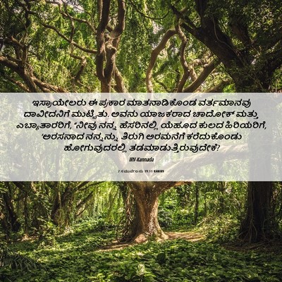 Picture 06 - 2 ಸಮುವೇಲನು 19:11 KANIRV - ಇಸ್ರಾಯೇಲರು ಈ - Bible Verse Picture