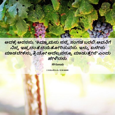 Picture 06 - 2 ಸಮುವೇಲನು 19:38 KANIRV - ಅದಕ್ಕೆ ಅರಸನು, - Bible Verse Picture