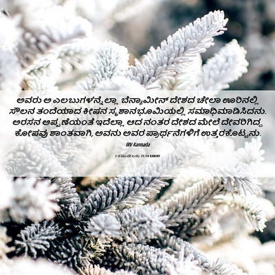 Picture 06 - 2 ಸಮುವೇಲನು 21:14 KANIRV - ಅವರು ಅ - Bible Verse Picture