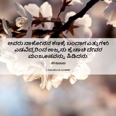 Picture 06 - 2 ಸಮುವೇಲನು 6:6 KANIRV - ಅವರು ನಾಕೋನನ - Bible Verse Picture