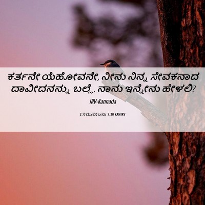 Picture 06 - 2 ಸಮುವೇಲನು 7:20 KANIRV - ಕರ್ತನೇ ಯೆಹೋವನೇ, - Bible Verse Picture