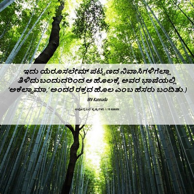 Picture 06 - ಅಪೊಸ್ತಲರ ಕೃತ್ಯಗಳು 1:19 KANIRV - ಇದು ಯೆರೂಸಲೇಮ್ - Bible Verse Picture