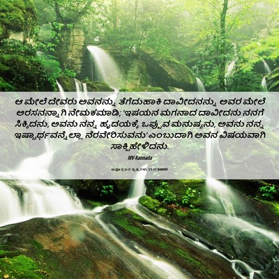 Picture 06 - ಅಪೊಸ್ತಲರ ಕೃತ್ಯಗಳು 13:22 KANIRV - ಆ ಮೇಲೆ ದೇವರು - Bible Verse Picture