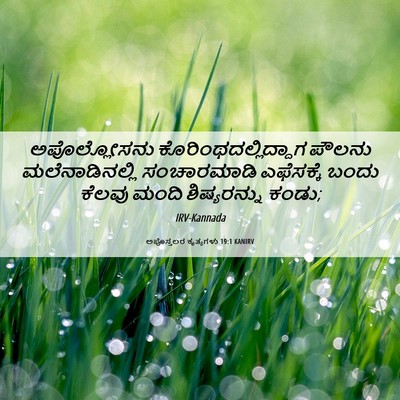 Picture 06 - ಅಪೊಸ್ತಲರ ಕೃತ್ಯಗಳು 19:1 KANIRV - ಅಪೊಲ್ಲೋಸನು - Bible Verse Picture