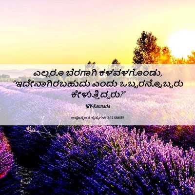 Picture 06 - ಅಪೊಸ್ತಲರ ಕೃತ್ಯಗಳು 2:12 KANIRV - ಎಲ್ಲರೂ ಬೆರಗಾಗಿ - Bible Verse Picture