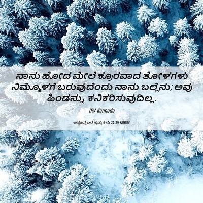 Picture 06 - ಅಪೊಸ್ತಲರ ಕೃತ್ಯಗಳು 20:29 KANIRV - ನಾನು ಹೋದ ಮೇಲೆ - Bible Verse Picture