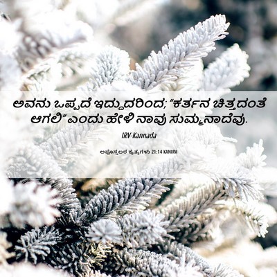Picture 06 - ಅಪೊಸ್ತಲರ ಕೃತ್ಯಗಳು 21:14 KANIRV - ಅವನು ಒಪ್ಪದೆ - Bible Verse Picture