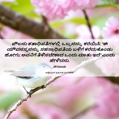 Picture 06 - ಅಪೊಸ್ತಲರ ಕೃತ್ಯಗಳು 23:17 KANIRV - ಪೌಲನು - Bible Verse Picture