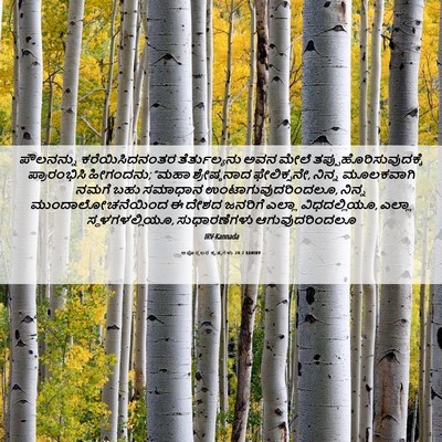 Picture 06 - ಅಪೊಸ್ತಲರ ಕೃತ್ಯಗಳು 24:2 KANIRV - ಪೌಲನನ್ನು - Bible Verse Picture