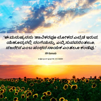 Picture 06 - ಅಪೊಸ್ತಲರ ಕೃತ್ಯಗಳು 24:5 KANIRV - “ಈ ಮನುಷ್ಯನನು - Bible Verse Picture