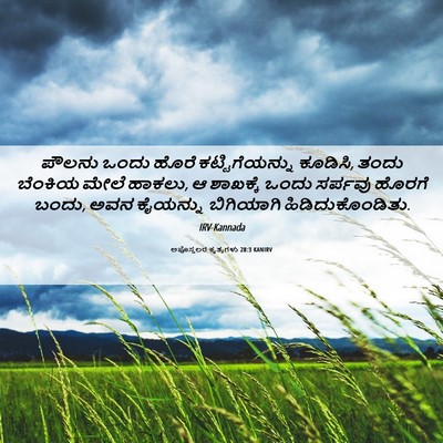 Picture 06 - ಅಪೊಸ್ತಲರ ಕೃತ್ಯಗಳು 28:3 KANIRV - ಪೌಲನು ಒಂದು ಹೊರೆ - Bible Verse Picture