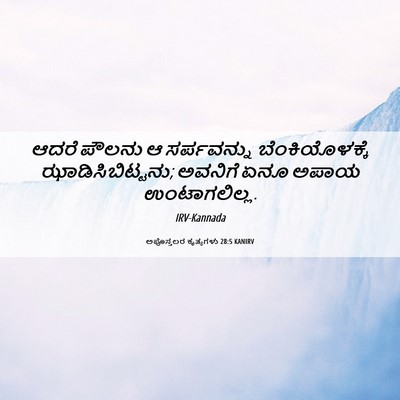 Picture 06 - ಅಪೊಸ್ತಲರ ಕೃತ್ಯಗಳು 28:5 KANIRV - ಆದರೆ ಪೌಲನು ಆ - Bible Verse Picture