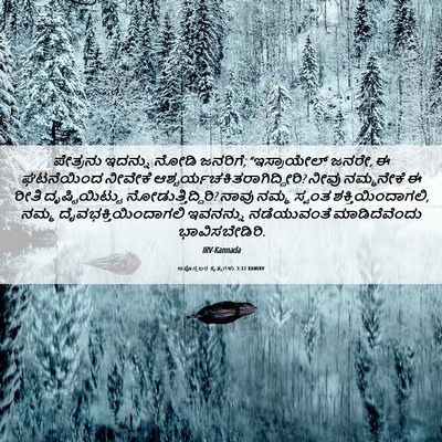 Picture 06 - ಅಪೊಸ್ತಲರ ಕೃತ್ಯಗಳು 3:12 KANIRV - ಪೇತ್ರನು ಇದನ್ನು - Bible Verse Picture