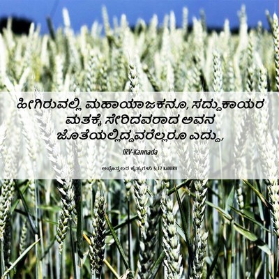 Picture 06 - ಅಪೊಸ್ತಲರ ಕೃತ್ಯಗಳು 5:17 KANIRV - ಹೀಗಿರುವಲ್ಲಿ - Bible Verse Picture