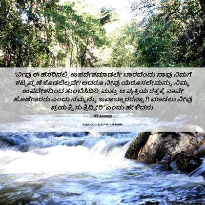 Picture 06 - ಅಪೊಸ್ತಲರ ಕೃತ್ಯಗಳು 5:28 KANIRV - “ನೀವು ಈ - Bible Verse Picture