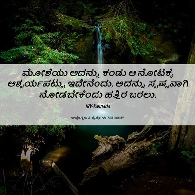Picture 06 - ಅಪೊಸ್ತಲರ ಕೃತ್ಯಗಳು 7:31 KANIRV - ಮೋಶೆಯು ಅದನ್ನು - Bible Verse Picture