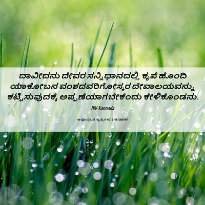 Picture 06 - ಅಪೊಸ್ತಲರ ಕೃತ್ಯಗಳು 7:46 KANIRV - ದಾವೀದನು ದೇವರ - Bible Verse Picture