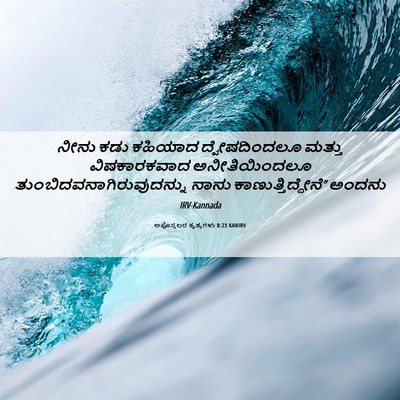 Picture 06 - ಅಪೊಸ್ತಲರ ಕೃತ್ಯಗಳು 8:23 KANIRV - ನೀನು ಕಡು ಕಹಿಯಾದ - Bible Verse Picture