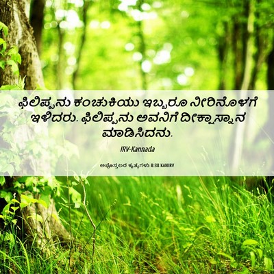 Picture 06 - ಅಪೊಸ್ತಲರ ಕೃತ್ಯಗಳು 8:38 KANIRV - ಫಿಲಿಪ್ಪನು - Bible Verse Picture