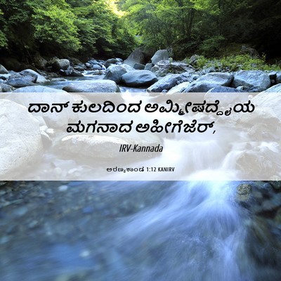 Picture 06 - ಅರಣ್ಯಕಾಂಡ 1:12 KANIRV - ದಾನ್ ಕುಲದಿಂದ - Bible Verse Picture