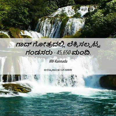 Picture 06 - ಅರಣ್ಯಕಾಂಡ 1:25 KANIRV - ಗಾದ್ ಗೋತ್ರದಲ್ಲಿ - Bible Verse Picture