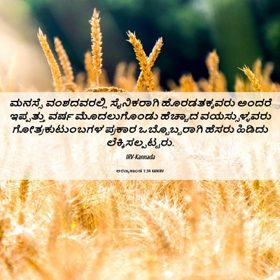 Picture 06 - ಅರಣ್ಯಕಾಂಡ 1:34 KANIRV - ಮನಸ್ಸೆ ವಂಶದವರಲ್ಲಿ - Bible Verse Picture