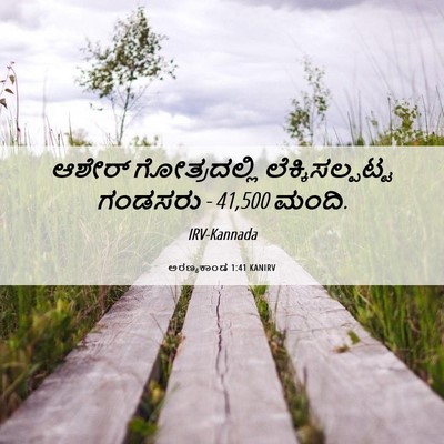 Picture 06 - ಅರಣ್ಯಕಾಂಡ 1:41 KANIRV - ಆಶೇರ್ ಗೋತ್ರದಲ್ಲಿ - Bible Verse Picture