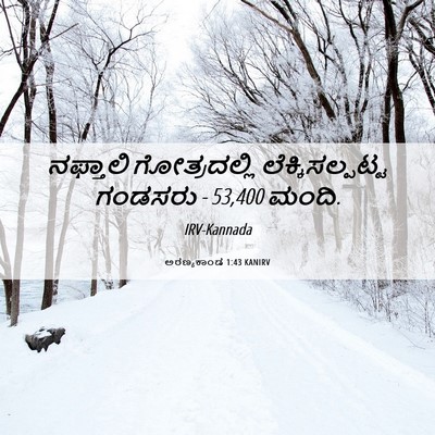 Picture 06 - ಅರಣ್ಯಕಾಂಡ 1:43 KANIRV - ನಫ್ತಾಲಿ - Bible Verse Picture