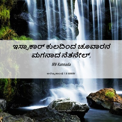 Picture 06 - ಅರಣ್ಯಕಾಂಡ 1:8 KANIRV - ಇಸ್ಸಾಕಾರ್ ಕುಲದಿಂದ - Bible Verse Picture