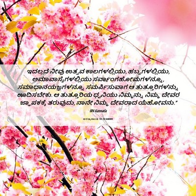 Picture 06 - ಅರಣ್ಯಕಾಂಡ 10:10 KANIRV - ಇದಲ್ಲದೆ ನೀವು - Bible Verse Picture