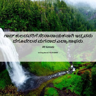 Picture 06 - ಅರಣ್ಯಕಾಂಡ 10:20 KANIRV - ಗಾದ್ ಕುಲದವರಿಗೆ - Bible Verse Picture