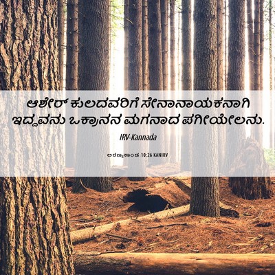 Picture 06 - ಅರಣ್ಯಕಾಂಡ 10:26 KANIRV - ಆಶೇರ್ ಕುಲದವರಿಗೆ - Bible Verse Picture