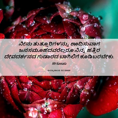Picture 06 - ಅರಣ್ಯಕಾಂಡ 10:3 KANIRV - ನೀನು - Bible Verse Picture