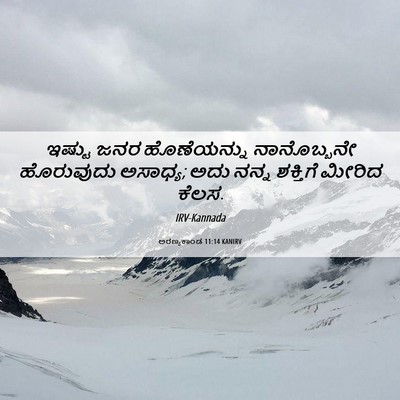 Picture 06 - ಅರಣ್ಯಕಾಂಡ 11:14 KANIRV - ಇಷ್ಟು ಜನರ - Bible Verse Picture