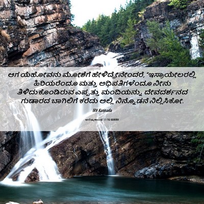 Picture 06 - ಅರಣ್ಯಕಾಂಡ 11:16 KANIRV - ಆಗ ಯೆಹೋವನು ಮೋಶೆಗೆ - Bible Verse Picture