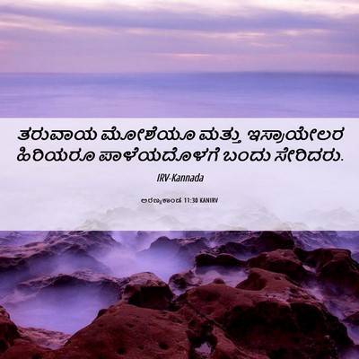 Picture 06 - ಅರಣ್ಯಕಾಂಡ 11:30 KANIRV - ತರುವಾಯ ಮೋಶೆಯೂ - Bible Verse Picture