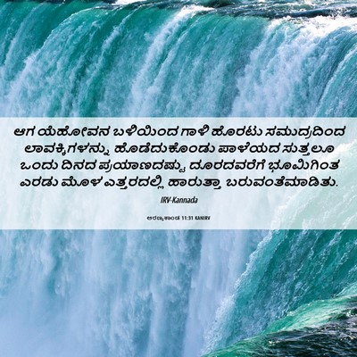 Picture 06 - ಅರಣ್ಯಕಾಂಡ 11:31 KANIRV - ಆಗ ಯೆಹೋವನ ಬಳಿಯಿಂದ - Bible Verse Picture